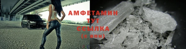 прущие грибы Зеленодольск