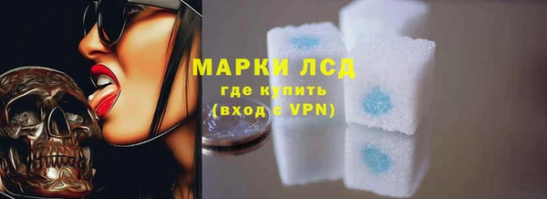 прущие грибы Зеленодольск