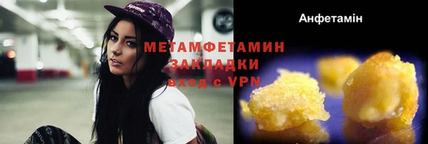прущие грибы Зеленодольск