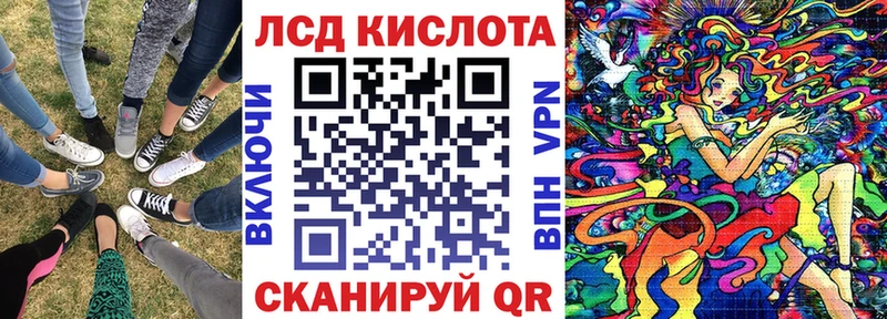 Купить Кедровый Наркотические марки 1,5мг