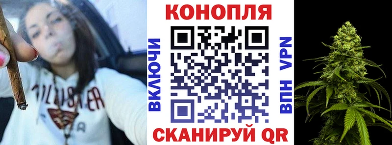 Бошки марихуана марихуана  Купить закладки  Кедровый 
